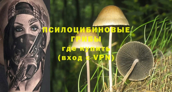 дурь Абаза