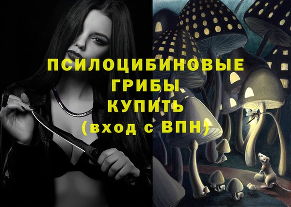 метадон Абинск