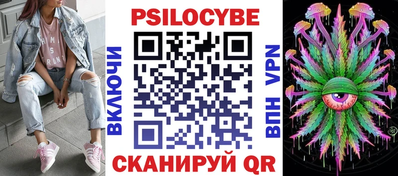 где можно купить наркотик  Шимановск  Галлюциногенные грибы Psilocybe 